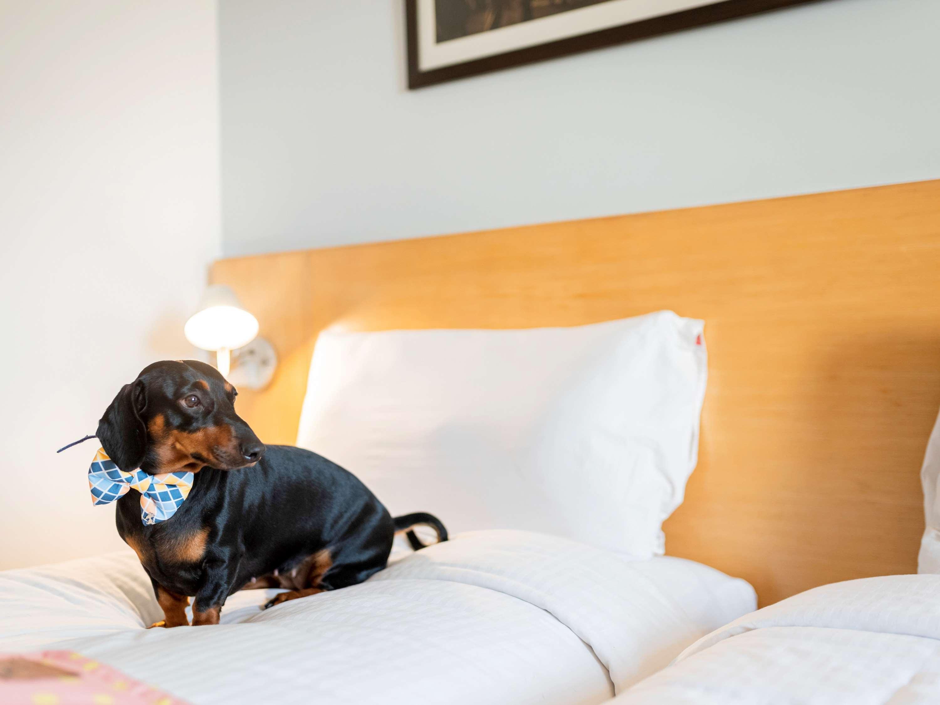 Ibis Chennai Omr - An Accor Brand Hotell Exteriör bild