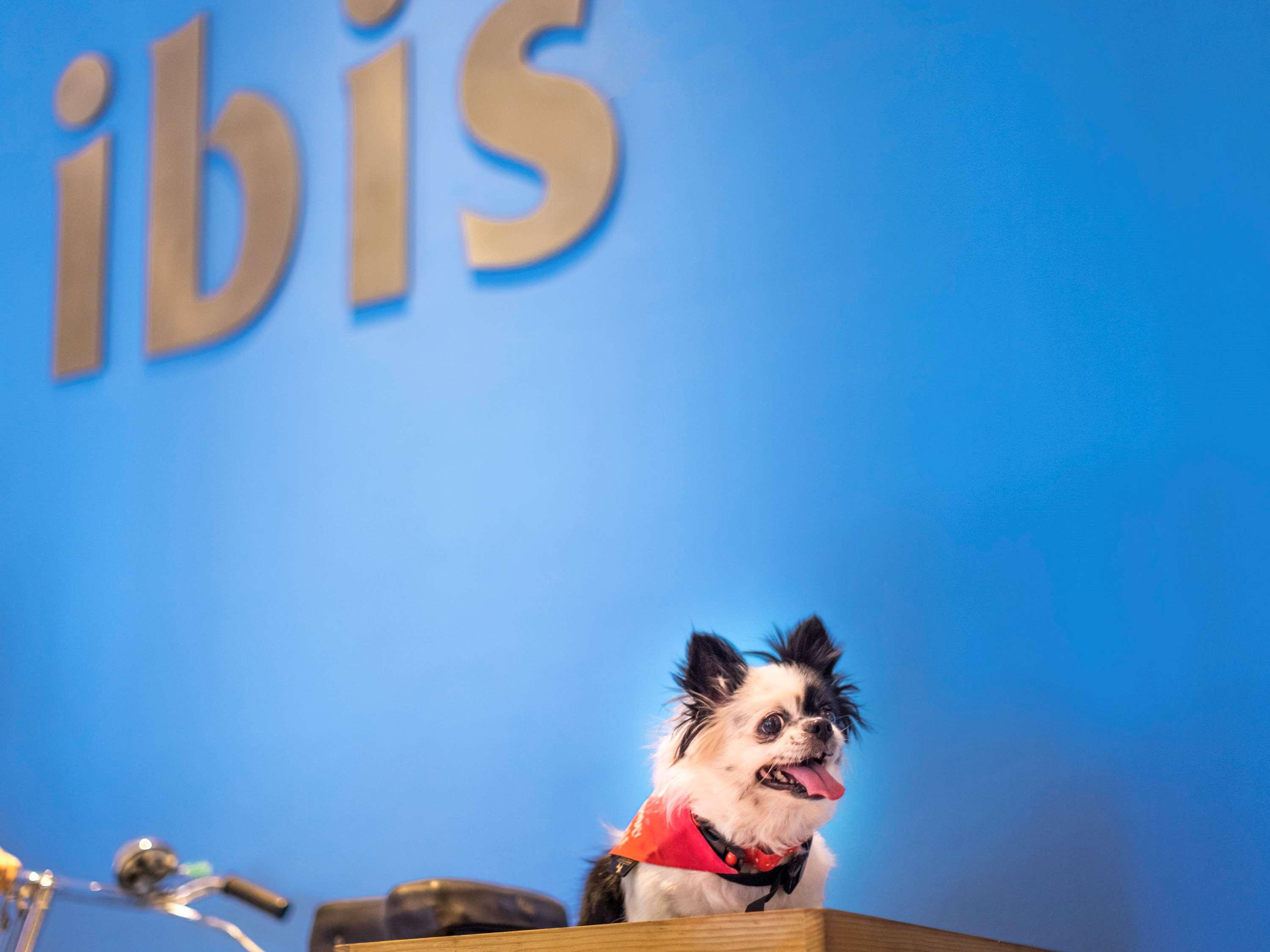Ibis Chennai Omr - An Accor Brand Hotell Exteriör bild
